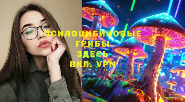 гидра Армянск