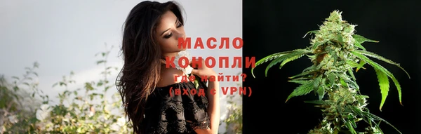 стаф Арсеньев