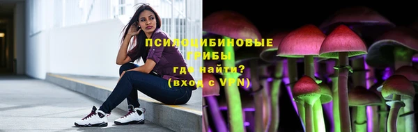 гидра Армянск