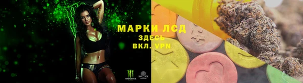 ALPHA PVP Аркадак