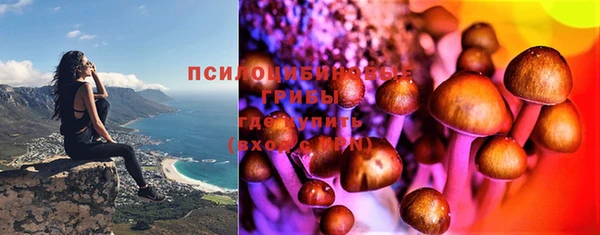 стаф Арсеньев