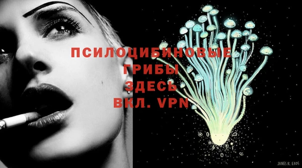 ALPHA PVP Аркадак