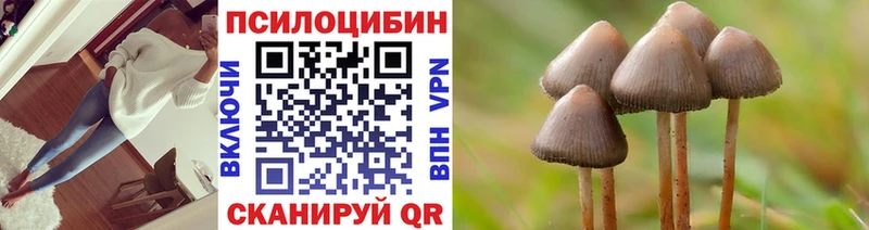 дарк нет телеграм  что такое   Оленегорск  Псилоцибиновые грибы Psilocybe 